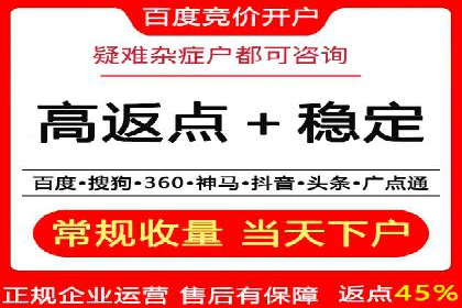 SEM代理服务：提升广告投放效果